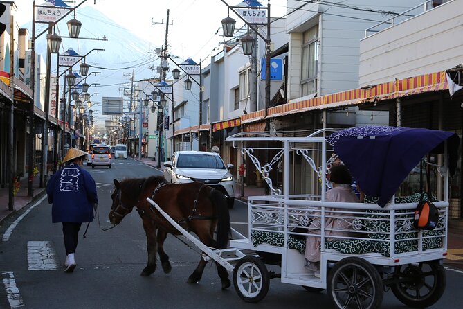 Cosy Horse Carriage Ride With Snowy Mt. Fuji Views - Preparing for Your Cosy Adventure