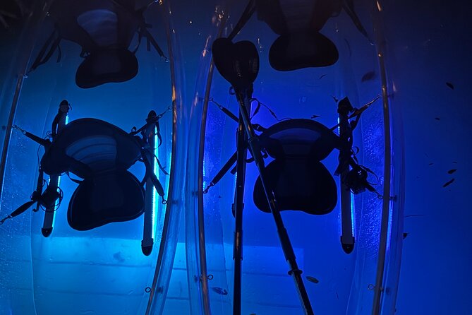 Crystal River Sunset and Glow Clear Kayak Manatee Tour - Safety Measures and Requirements