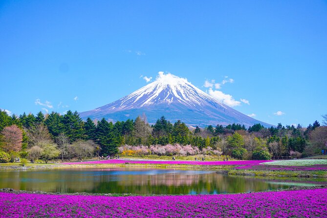 Customizable 10 Hour Private Tour From Tokyo to Mount Fuji - Health and Accessibility Information