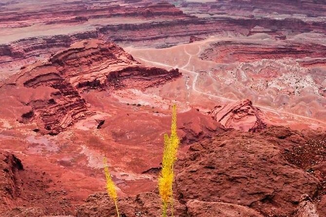 Day Tour Arches and Canyonlands National Park in Utah - Meeting and Pickup Details