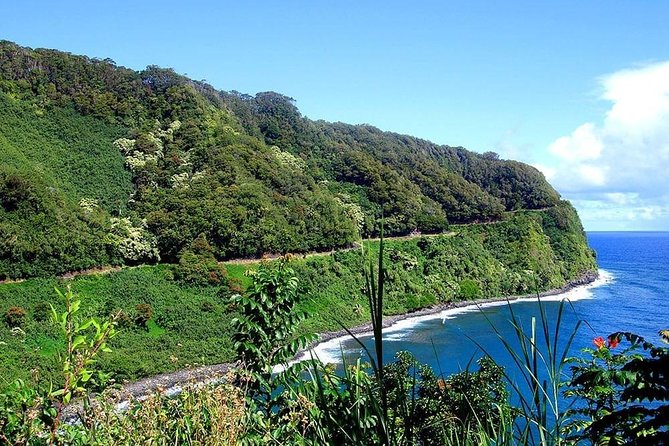 Day Trip From Maui to Oahu: Road to Hana Adventure - Customer Experiences and Recommendations
