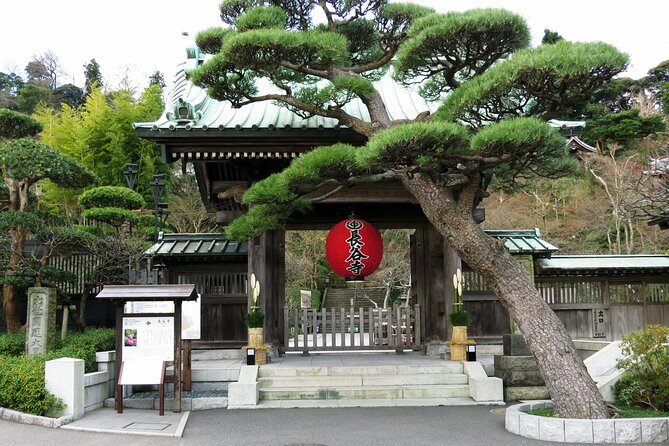 Day Trip Kamakura From Tokyo With National Licensed Guide - Itinerary and Highlights