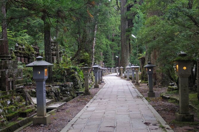 Day Trip Sacred Sites at Koyasan From Osaka - Guided Tour Experience