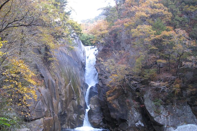 Day Trip Shosen Valley From Tokyo - Physical Requirements and Accessibility