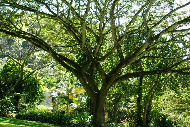 Deluxe North Shore Adventure From Ko Olina - Transportation and Logistics