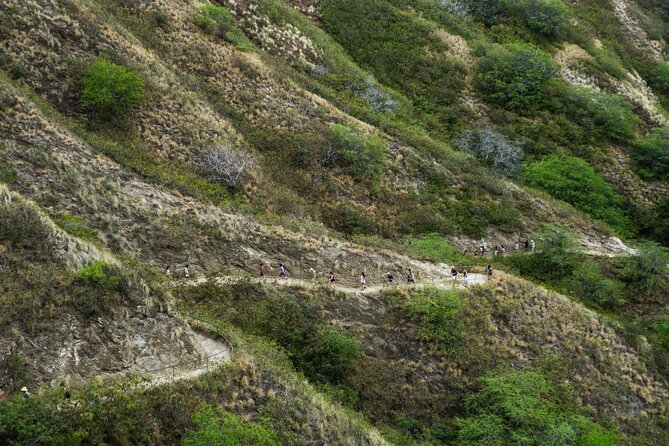 Diamond Head and Manoa Falls Hike and Adventure Tour - Whats Included in the Tour