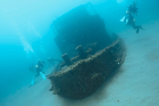 Diving in Kansai, Japan for License Holders - Meeting and Pickup Details