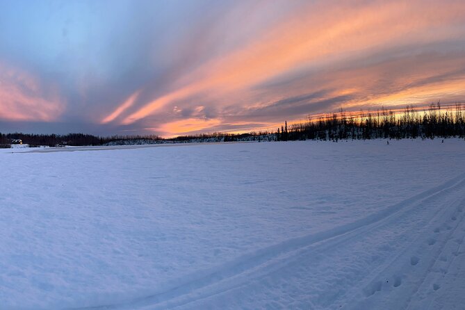 Dog Sledding With Alaskan Huskies - Essential Gear for Your Adventure