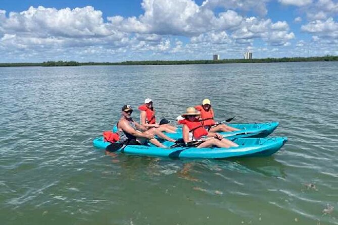 Dolphin and Manatee Kayak Tour of Daytona Beach - Inclusions and Logistics