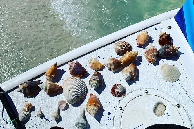 Dolphin and Shelling Cruise Tour at Fort Myers Beach - Pricing and Payment Options