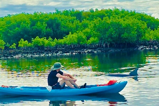 Dolphin, Manatee and Sea Turtle Kayak Adventure - Knowledgeable and Friendly Guides