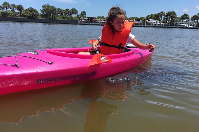 Dolphin & Manatee Kayaking Tour in Orlando Area - Safety Recommendations
