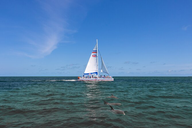 Dolphin Watch & Historical Harbor Tour in St. Augustine - Inclusions and Amenities