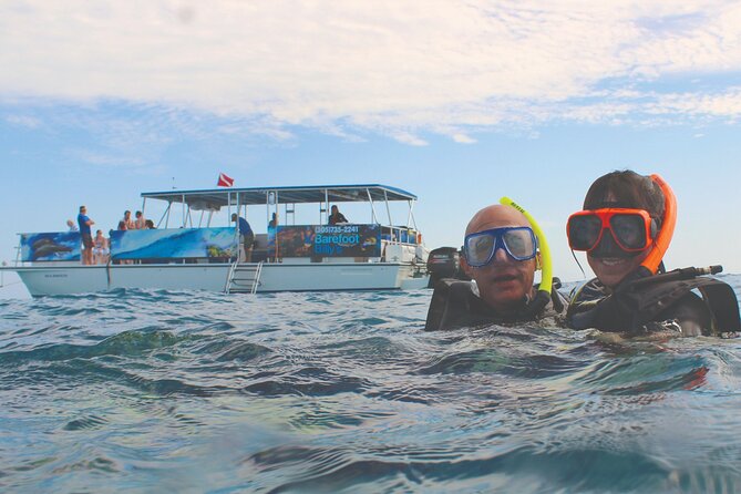 Dolphin Watching and Snorkeling Adventure in Key West - Snorkeling Adventure in the Clear Waters