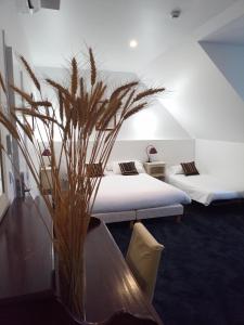 Domain of Bel Air - Accommodation Options and Amenities