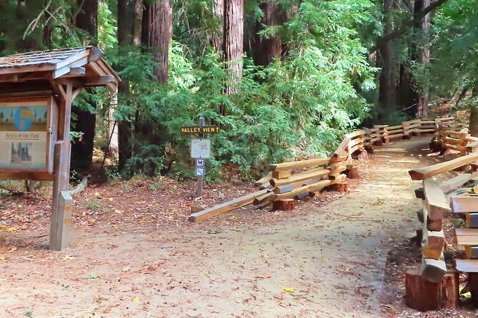 Driving the California Coast: A Self-Guided Audio Tour - The Role of GPS-Triggered Audio