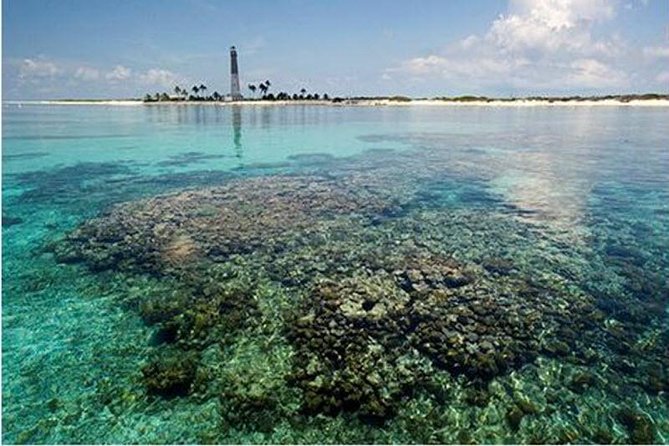 Dry Tortugas National Park Day Trip by Catamaran From Key West - Snorkeling and Marine Life Encounters