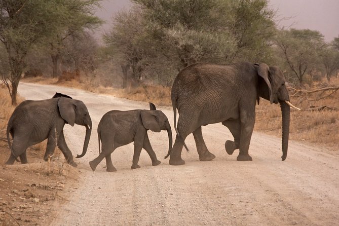 Durban: Big 5 Luxury Safari at an Award Winning Game Reserve — Zeiss Binoculars - Pickup Information