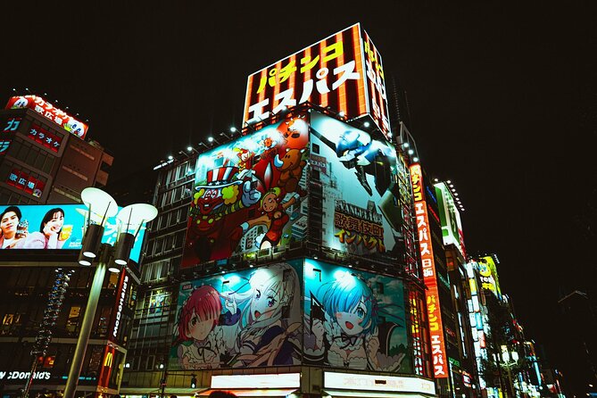 Dynamic Tokyo Private Custom Walking Tour - Accessibility