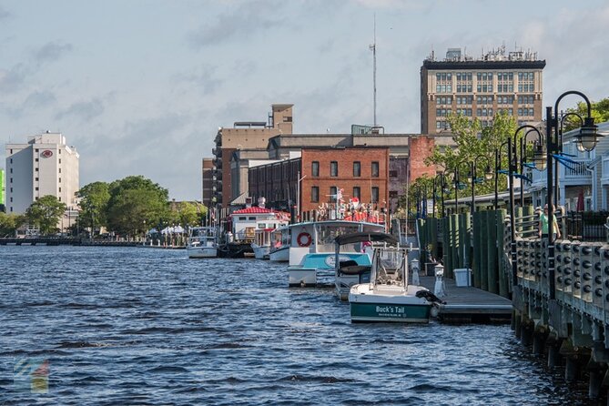 Eagles Island 50 Minute Narrated Boat Cruise - Reviews and Customer Feedback