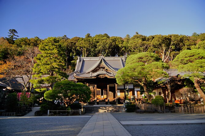 Early Blooming Cherry Blossoms & Fruit Picking 1DAY Tour - Weather and Itinerary Notes