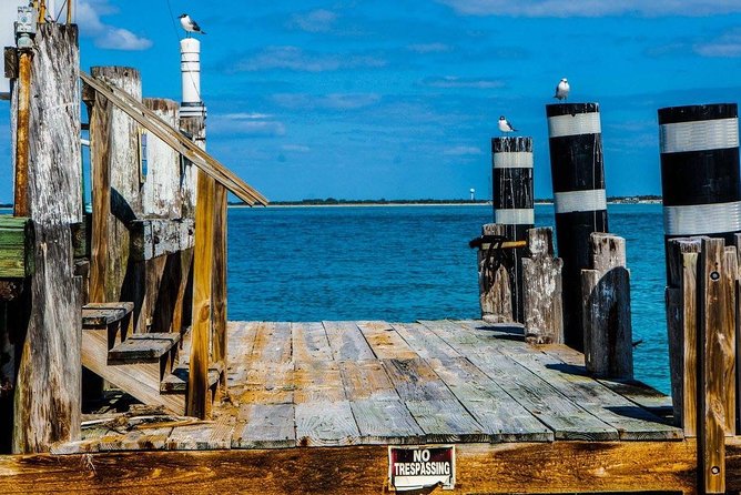 Egmont Key Snorkeling Dolphin Tour - Included Amenities
