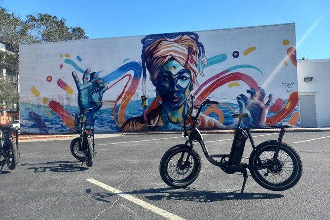Electric Bike Guided City & Mural Tour - Tour Experience