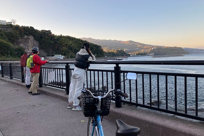 Electric Bike Rental in Manazuru - Meal Inclusions and Optional Expenses