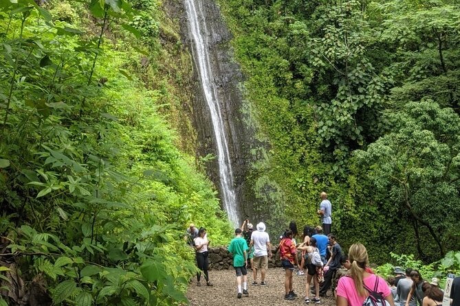 Electric Bike Ride & Manoa Falls Hike Tour - Experience Highlights