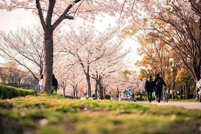 Enjoy Hot Spring Bath / Onsen and Sakura / Cherry Blossom View - Exploring the Cherry Blossoms: A Breathtaking Experience