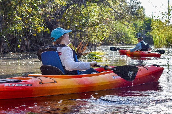Everglades Guided Kayak Tour - Tour Experience and Requirements