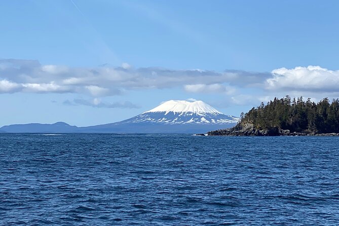 Experience Local Marine Wildlife Tour - Meeting and Pickup Details