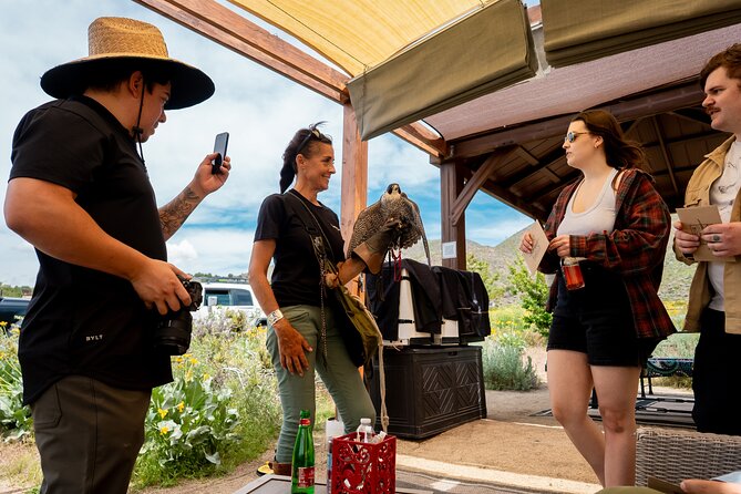 Experience Raptors and Falconry in Reno - Participant Considerations and Recommendations