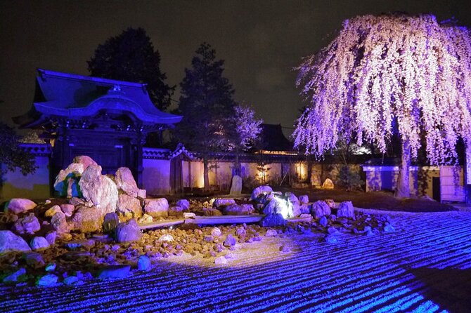 Explore Kyoto's 1,000-Year-Old Nighttime Cherry Blossoms! - Cancellation and Flexibility: Your Options