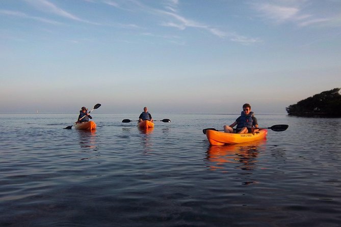 Explore Mangrove Creeks With an All Day Sup/Single Kayak Rental - Meeting and Logistics