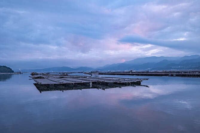 Explore Miyajima Seven Shrines by Cruiser - Health and Safety Considerations