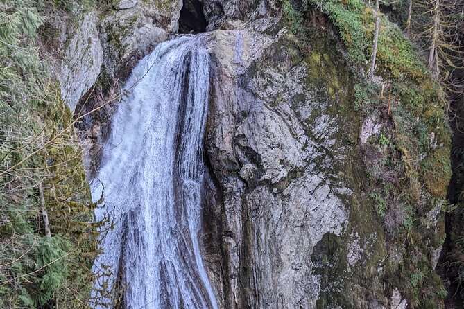 Explore Snoqualmie, Waterfalls and an Ancient Forest - Highlights of the Natural Scenery