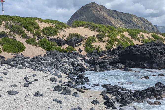 Famed North Shore Tour - Accessibility and Participation Details