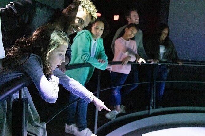 Flyover in Chicago - Multimedia and Sensory Experience