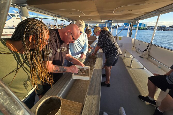 Fort Myers Beach Sightseeing With Shark Teeth and Shelling Tour - Dolphin Watching Experience