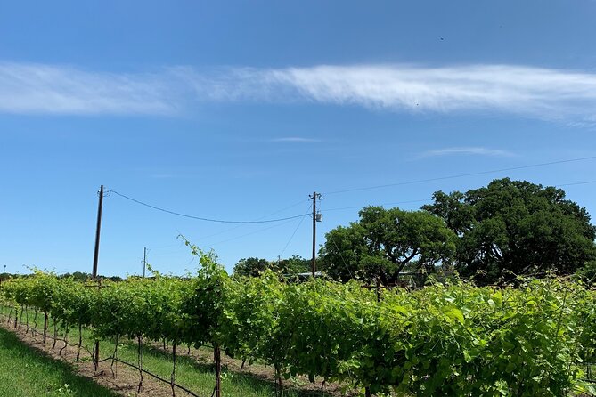Fredericksburg Hill Country Aficionado Wine Tour From San Antonio - Meeting and Pickup Details