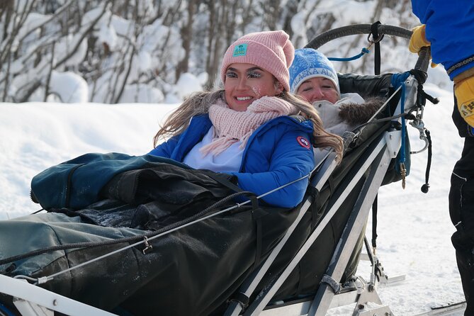 Free Pickup - Alaskan Husky Dog Sledding With Free Photo Service - Reviews and Feedback