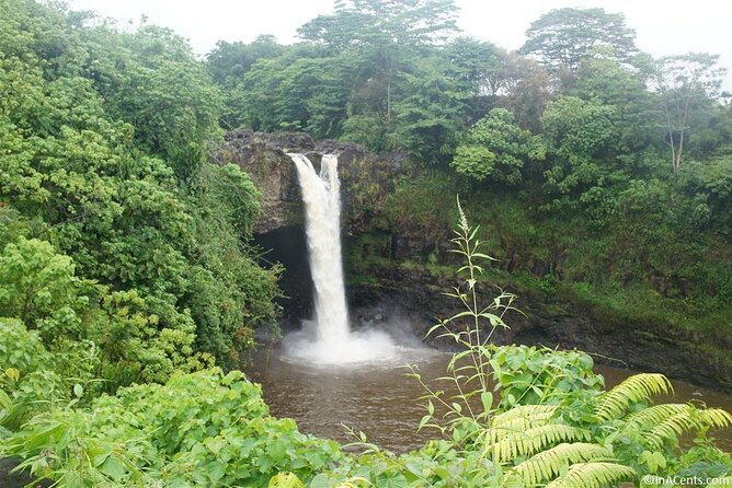 From Big Island Kona Volcanoes and Waterfalls Shared Tour - Whats Included in the Tour