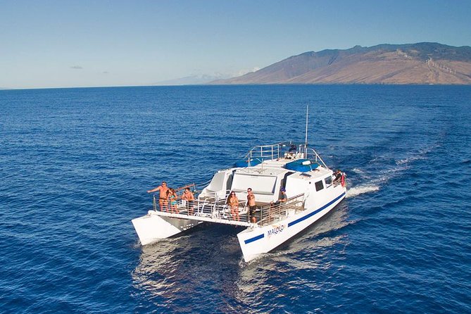 From Maalaea Harbor, Maui: Whale Watch Cruise Aboard Malolo - Accessibility Features