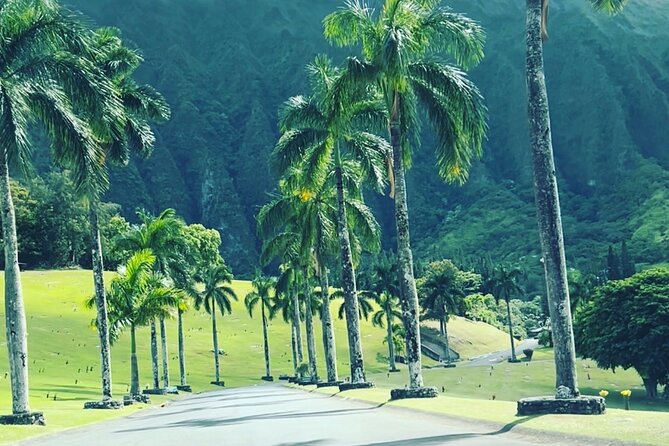 Full-Day Circle Island Guided Tour of Oahu - Customer Reviews and Feedback