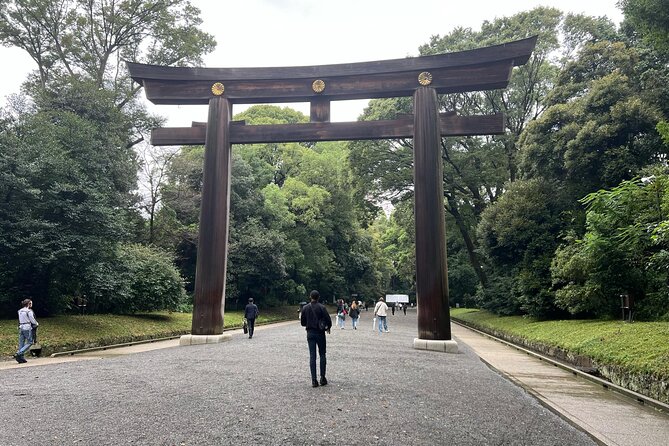 Full- Day Private Tokyo Tour With English -Speaking Guide - Accessibility and Participation
