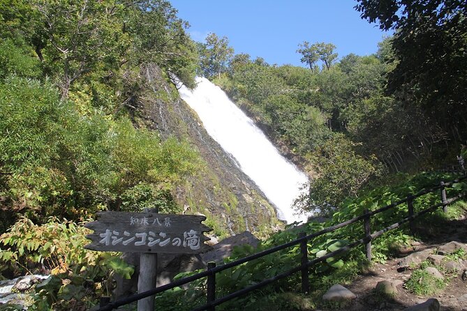 Full-day Tour in Hokkaido Natural Heritage Shiretoko Adventure - Inclusions and Transportation