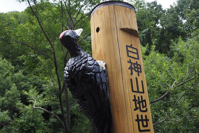 Full Day World Heritage Shirakami Mountains Hiking Tour - Schedule and Availability