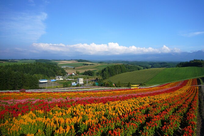 Furano, Biei & Blue Pond Full-Day Private Tour (Up to 21 Pax) - Pickup Information