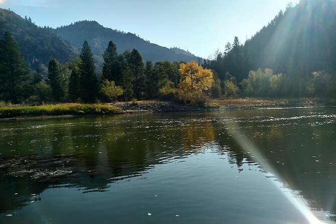 Gentle Whitewater Float on the Salmon River - Guided Tour Insights